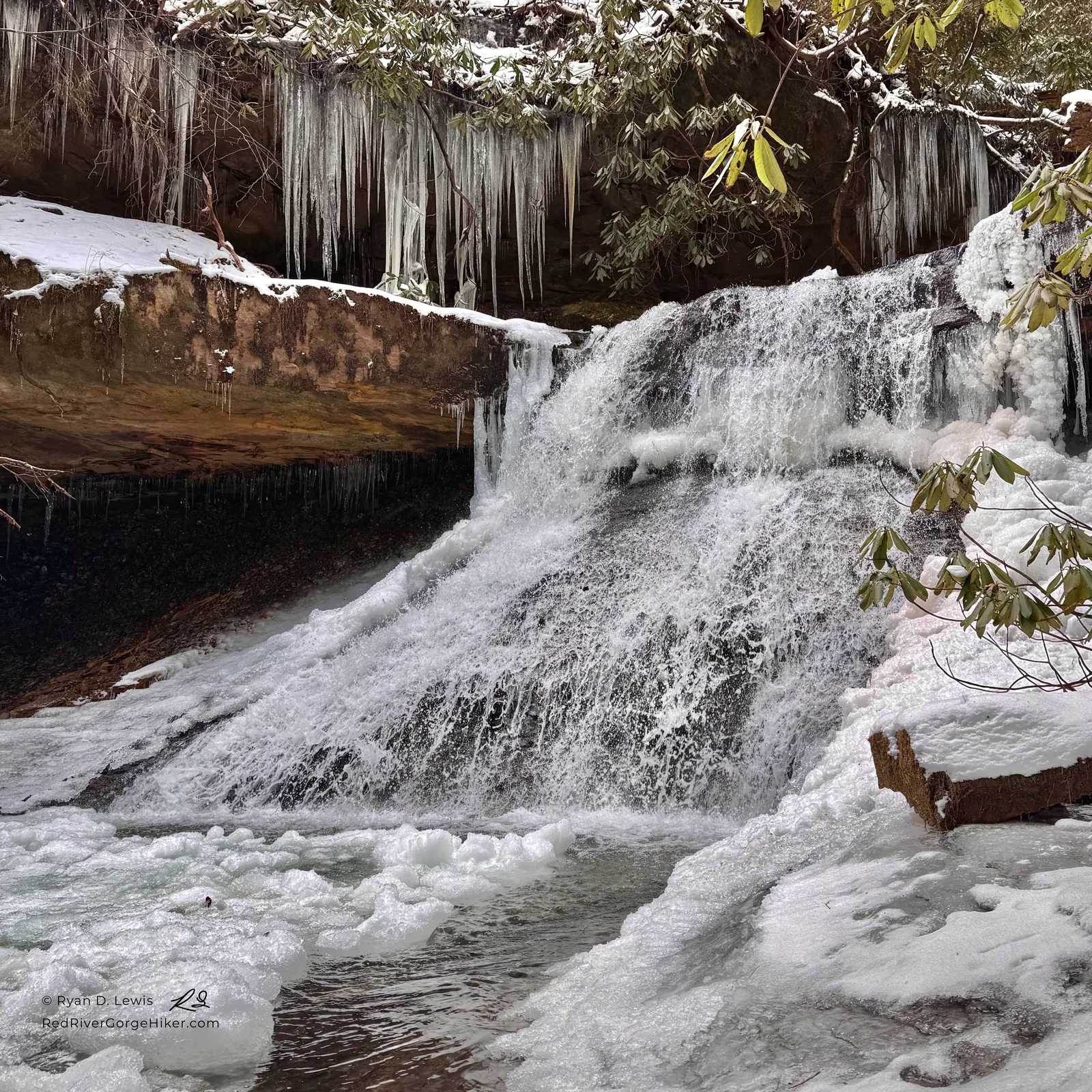 Dog Fork Falls surrounded by long icicles, snow-covered sandstone, flowing water, and rhododendron in winter.