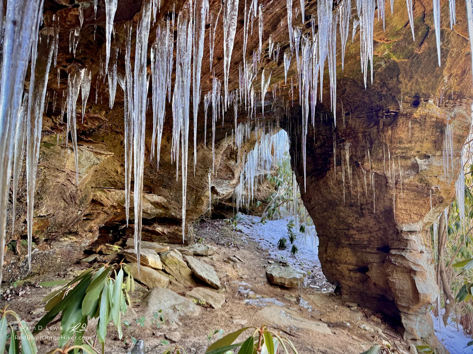 Long icicles hanging beneath sandstone beside West of Copperas Pillar, surrounded by snow, rhododendron, and winter forest.